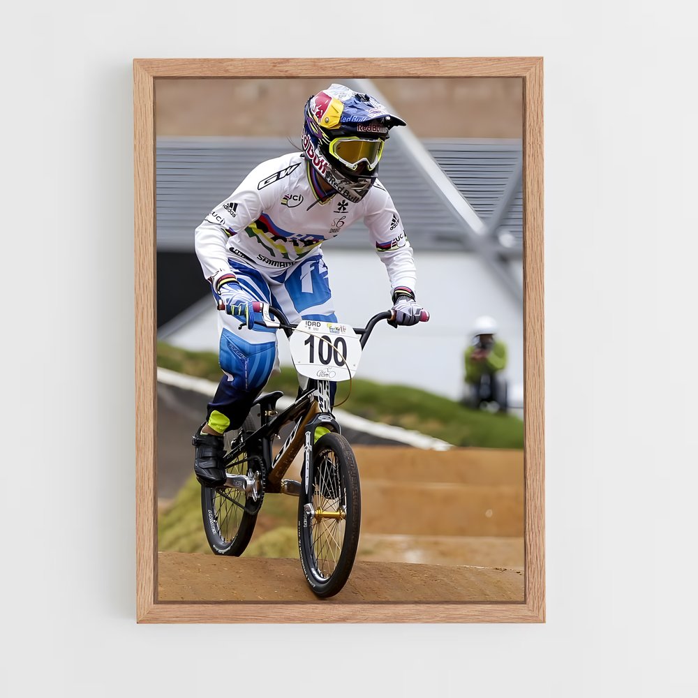 Poster BMX Downhill Adventure (vue 4)